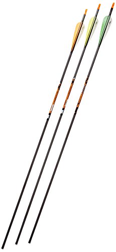 Gold Tip Expedition Hunter 5575/400 Carbon Arrows with 4-Inch Vanes Black (72 Count)
