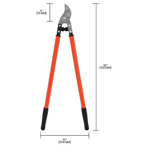 Zenport MV175 Professional Orchard and Landscape Tree Lopper 30-Inch Box of 12 Orange
