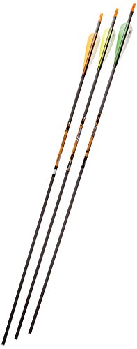 Gold Tip Expedition Hunter 3555/500 Carbon Arrows with 4-Inch Vanes Black