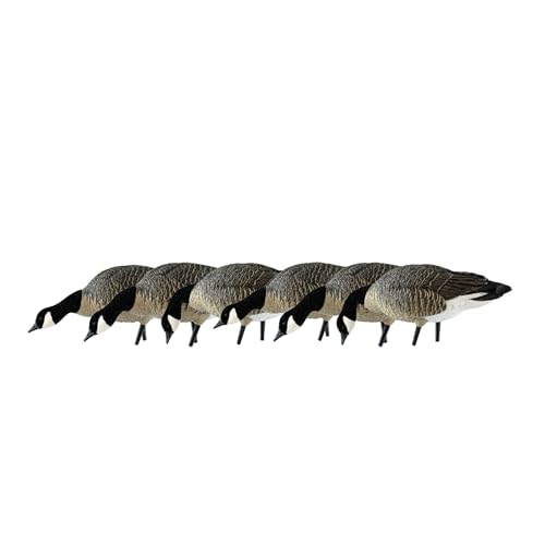 Avian-X AXP Honkers Fusion Pack Lesser Canada Goose Decoys Set of 18 Brown and White