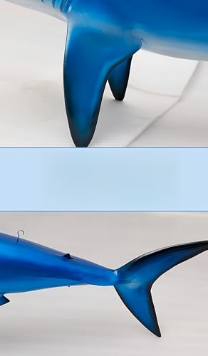 FENGSHUI-CAISHEN 70" Colorful Blue Shark Replica Wall Decor