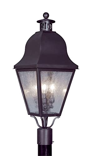 Livex Outdoor Post Light with Seeded Glass Shades Black