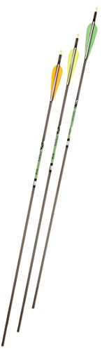 Gold Tip XT Hunter 5575/400 Carbon Arrows with 4-Inch Vanes Black