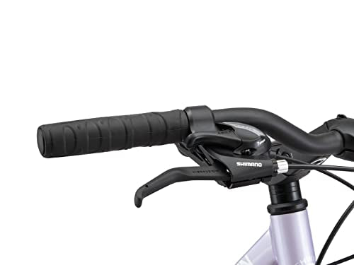 Schwinn Network 3.5 Hybrid Bike Purple