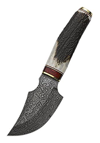 Muela Africa-9DAM Damascus Steel Blade Knife with Red Stag Horn Handle and Presentation Box