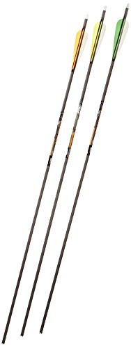 Gold Tip Velocity Hunter 300 Arrows with 4-Inch Vanes 72 Count Black