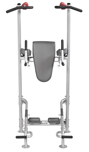 HOIST Fitness Dip Station & Pull Up Bar Platinum