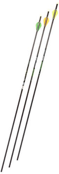 Gold Tip Velocity XT 300 Arrows with 2-Inch Vanes 72 Count Black