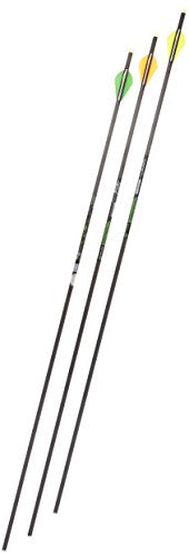Gold Tip Velocity XT 300 Arrows with 2-Inch Vanes 72 Count Black