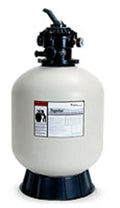 Pentair EC-145241 Filters Almond