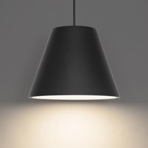 Modern Forms Myla 20in LED Outdoor Pendant Black