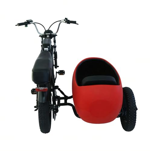 RZZLGY Electric Motorcycle with Sidecar, Snow Tires, 60km Range, Red