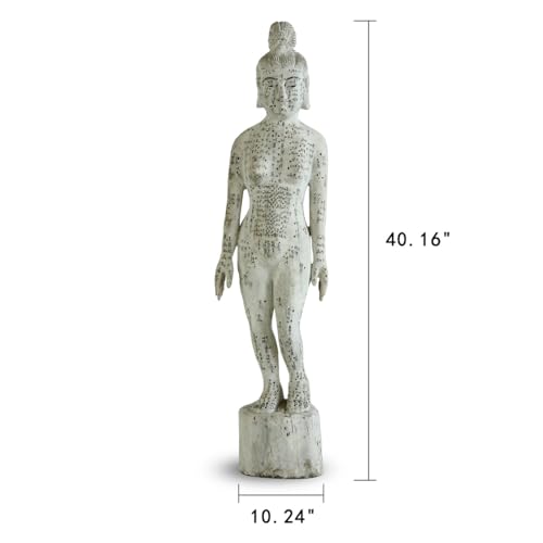 Artissance Acupuncture Female Figure Model Antique White 40" H