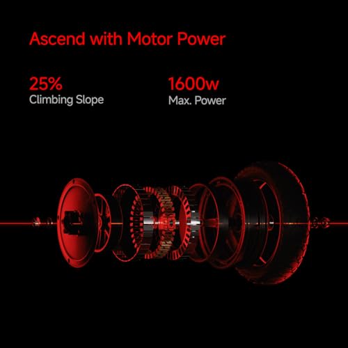 Segway ZT3 Pro Electric Scooter 24.9 Mph 43.5 Miles Range Black