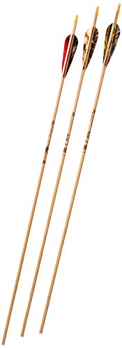 Gold Tip Traditional Hunter 1535/600 Arrows with 4-Inch Feathers Beige (72 Count)