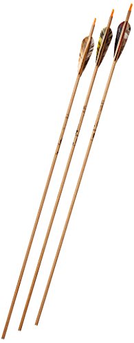 Gold Tip Traditional XT 7595/300 Arrows with 4-Inch Feathers 72 Count Beige