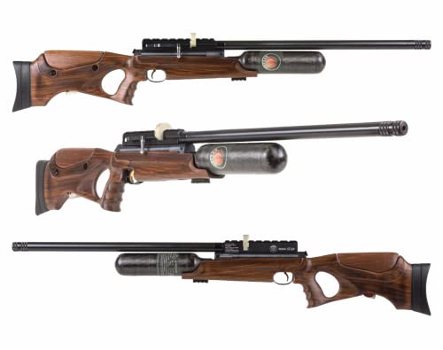Wearable4U Hatsan NeutronStar .22 Cal PCP Air Rifle Bundle with 250 Pellets and 100 Paper Targets