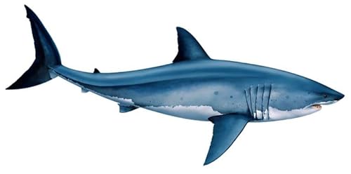 Custom Mosaics, Inc. Great White Shark Porcelain Pool Mosaic 60" x 28" Blue
