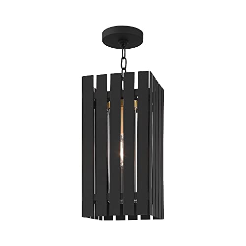 Livex 1 Light Satin Brass Outdoor Pendant Lantern Brass