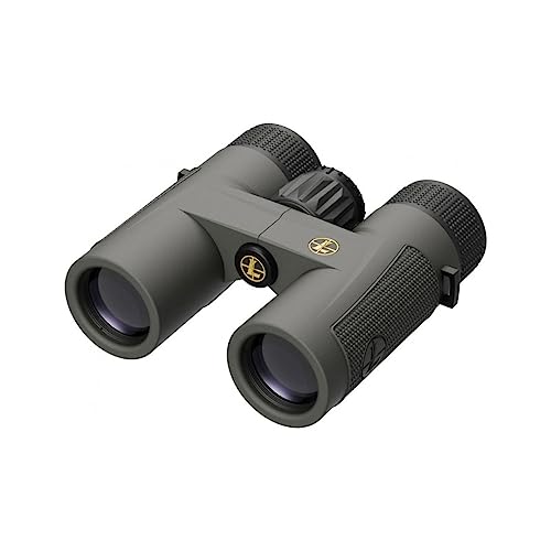 Leupold BX-4 Pro Guide HD Binocular 8x32mm Gray