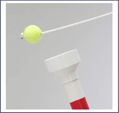 Copplestone Games OrbiterBall 6' KD White/Gray