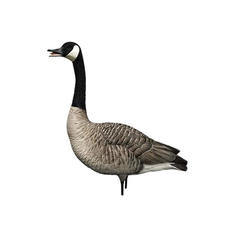 Avian-X AXP Honkers Fusion Pack Full Body Canada Goose Decoys Multicolor