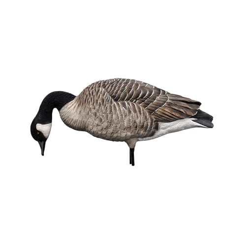 Avian-X AXP Honkers Fusion Pack Full Body Canada Goose Decoys Silver