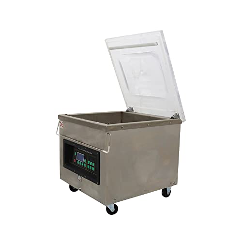 INTSUPERMAI DZ-450 Desktop Vacuum Packaging Machine 110V