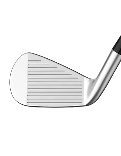 Callaway Golf APEX PRO Iron Set (Right Hand, 4 Iron - PW,AW, Steel, Stiff) Silver