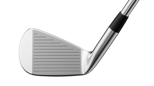 Mizuno Pro 221 Golf Iron Set 3-PW Steel Right Hand Stiff