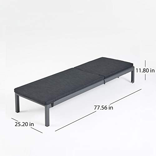 Great Deal Furniture Outdoor Chaise Lounge with Cushion Set of 2 Dark Gray