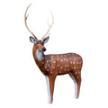 BIGSHOT Real Wild X-Ray Series Axis Deer EZ Pull Foam Archery Target Multicolor