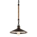 Troy Lighting Brooklyn 1-Light Pendant Brooklyn Bronze