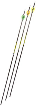 Gold Tip Pro Hunter 3555/500 Carbon Arrows with 2-Inch HP Vanes 72 Count Black
