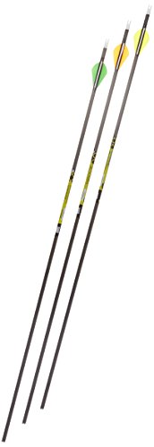 Gold Tip Pro Hunter 3555/500 Carbon Arrows with 2-Inch HP Vanes 72 Count Black