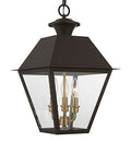 Livex Wentworth 3 Light Large Outdoor Pendant 19 Inches Tall Bronze/Antique Brass