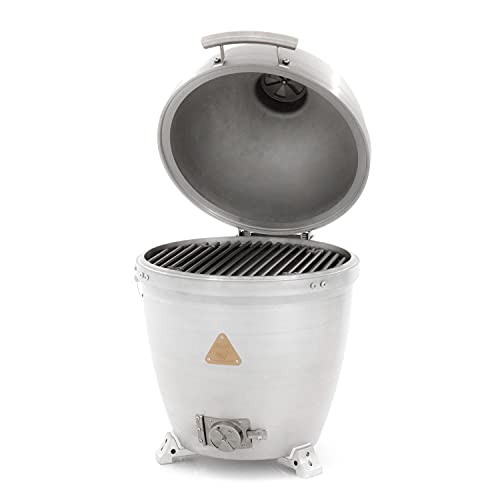 Blaze Outdoor Products 20-Inch Cast Aluminum Kamado Grill Silver