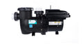 Pentair 013075 IntelliPro3 VSF 3HP Pump Black