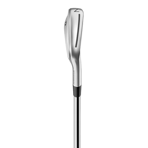 TaylorMade 2024 P770 Iron Set 4-PW Men's Righthanded Steel Stiff Silver