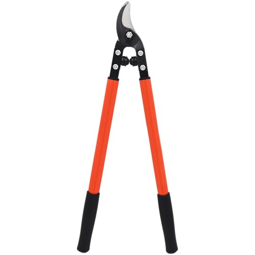 Zenport MV150 Professional Vine and Light Tree Lopper 1.25 Cut 24-Inch Box of 12 Orange
