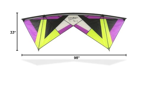Revolution Reflex XX Sport Wing Kite with Accessories Purple/Lime