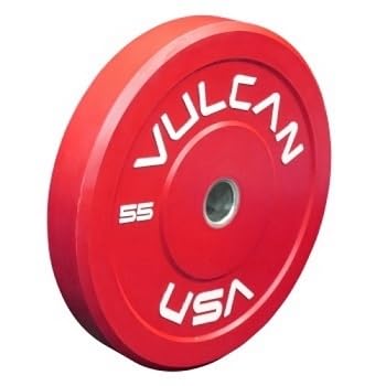 VULCAN 340 lb Color Bumper Plates Set Red Blue Yellow Green Grey