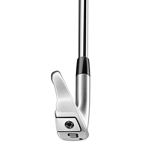 TaylorMade Golf P790 Iron Set Chrome