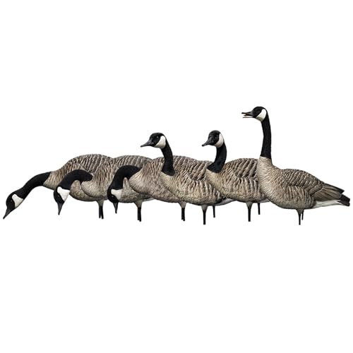 Avian-X AXP Honkers Goose Decoy Feeder with Full Body Canada Goose Decoys Multicolor