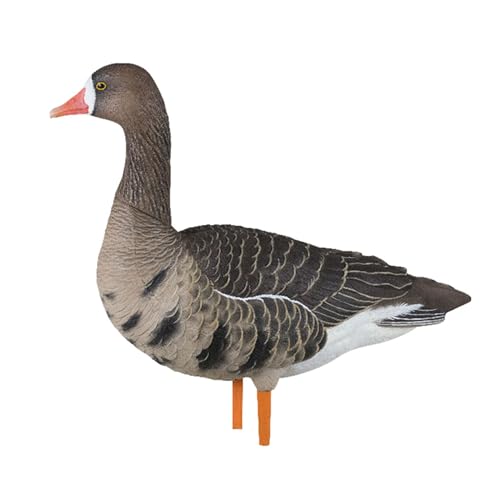 Avian-X AXP Specklebelly Decoy Fusion Pack 12 Pack