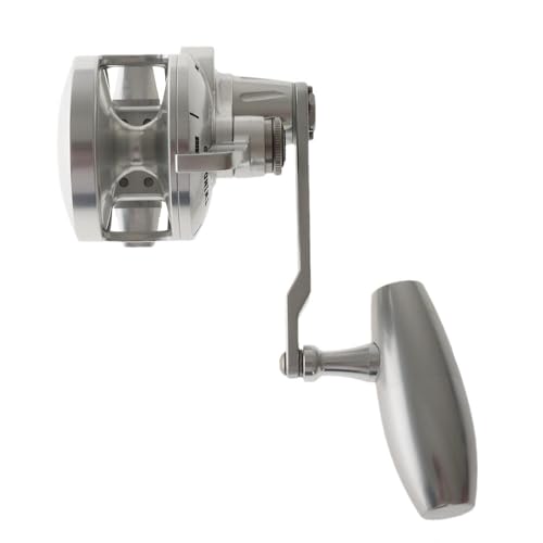 Accurate Boss Valiant 500 Narrow Slow Pitch Jigging Reel BV-500N-SPJ Metallic