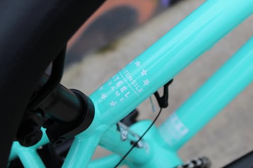 Eastern Bikes Cobra BMX Freestyle Bike 20 Inch Teal