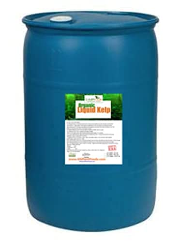 GS Plant Foods Seaweed Fertilizer OMRI Organic Liquid Kelp Concentrate 55 Gallon
