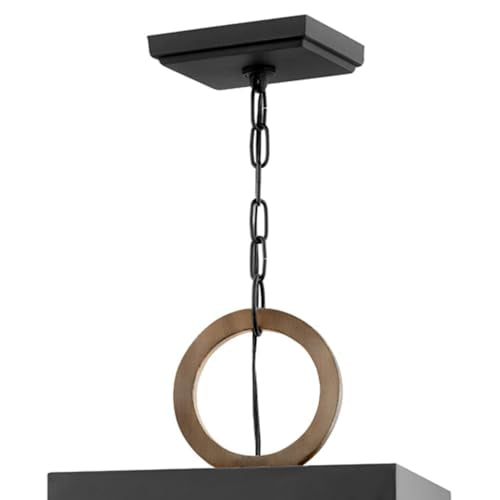 Hinkley Porter Medium Outdoor Pendant Black