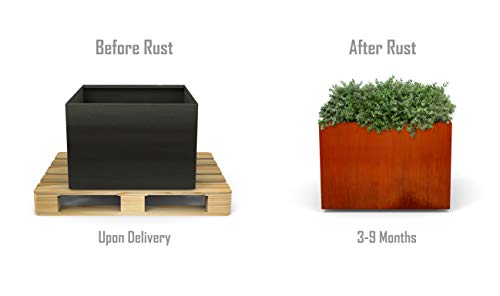 Plantercraft Corten Steel Square Cube Planter Natural